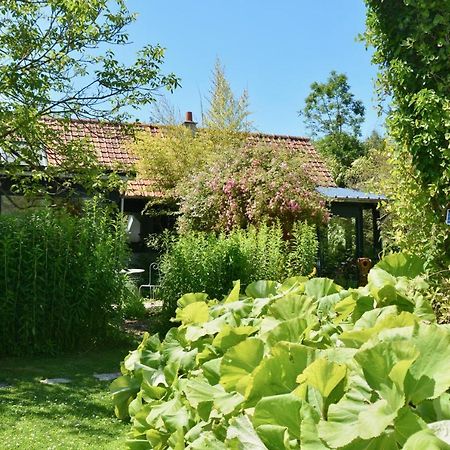 Chambres D'Hotes, Gites La Petite Madeleine La Madelaine-sous-Montreuil Екстер'єр фото