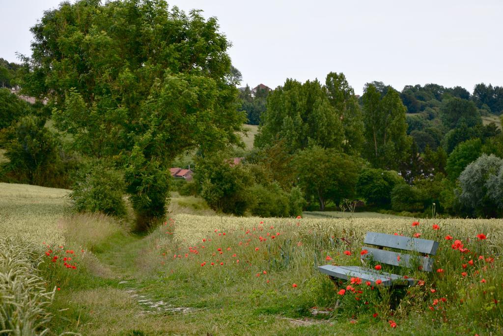 Chambres D'Hotes, Gites La Petite Madeleine La Madelaine-sous-Montreuil Екстер'єр фото